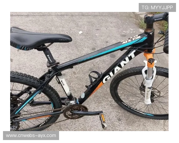 两轮车迷节鸿基伟业冠名山地车越野赛，突出产品坚固耐用特性