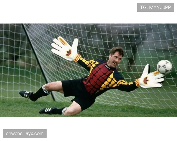 “通讯:门将的传承,皮克福德在古迪逊公园的第三百场” “通讯:门将的传承,皮克福德在古迪逊公园的第三百场”